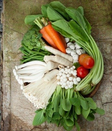 Sağlıklı Kilo Verme